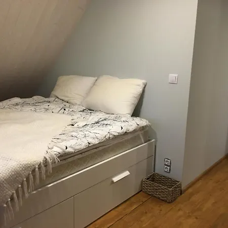 Ravila Puhkemaja Holiday home *